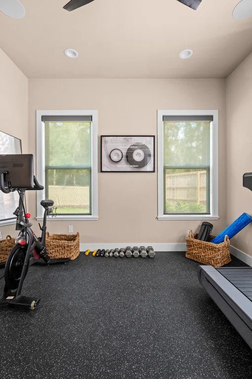Oakmont — Hunter Douglas architectural screen shades in the home gym