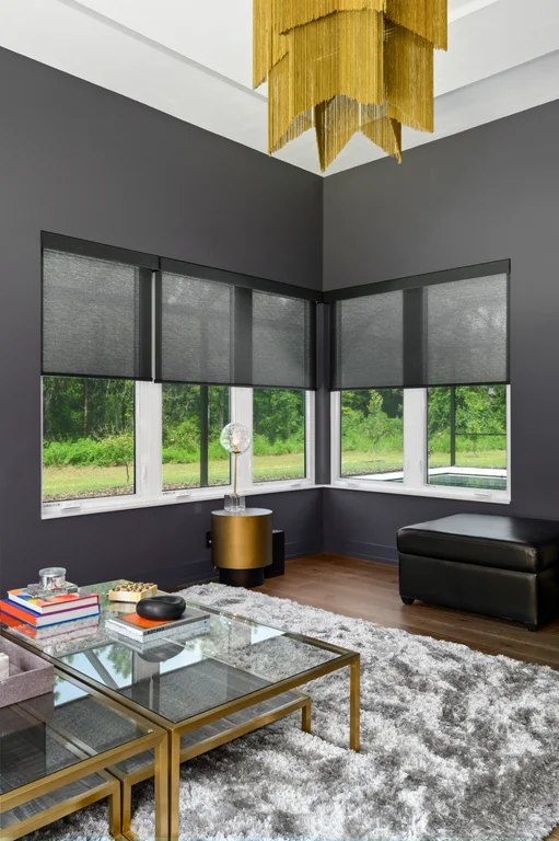 VIP Home — motorized Hunter Douglas Designer roller shades with Duolite